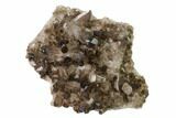 Dark Smoky Quartz Crystal Cluster - Brazil #137840-1